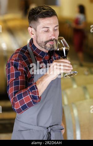 Männliche sommelier schätzen Trinken Stockfoto