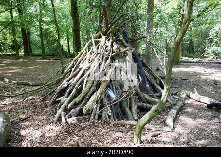 bushcraft-Unterschlupf aus Holz Beacon Country Park upholland skelmersdale lancashire england uk Stockfoto