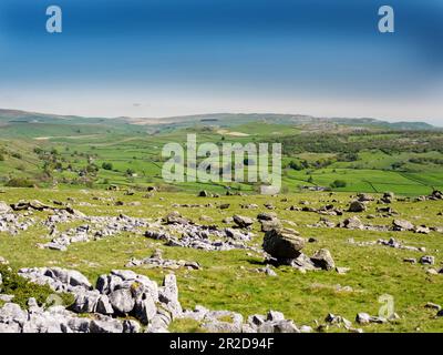 Die berühmten Norber-Gletschersprengungen an den südlichen Hängen von Ingleborough, Yorkshire Dales, Großbritannien. Stockfoto