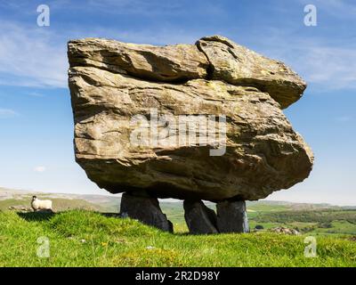 Die berühmten Norber-Gletschersprengungen an den südlichen Hängen von Ingleborough, Yorkshire Dales, Großbritannien. Stockfoto