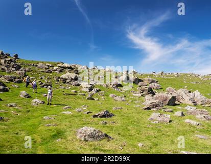 Die berühmten Norber-Gletschersprengungen an den südlichen Hängen von Ingleborough, Yorkshire Dales, Großbritannien, mit Wanderer. Stockfoto