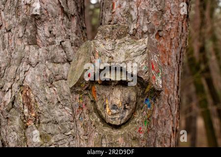 Das Gesicht wurde im Wald auf einen Kiefernstumpf geschnitzt Stockfoto