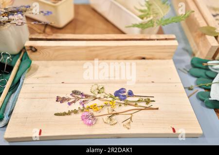 Master Class über das Erstellen von Rahmen mit Herbarium in tiffany Technik in Buntglas. Herbarium verschiedener getrockneter Pflanzen und Blumen unter A Stockfoto