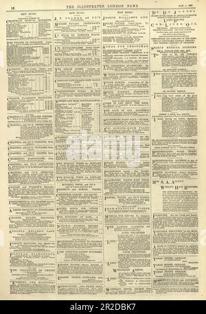 Alte Zeitungsseite aus London Illustraded News, 1881, viktorianisches 19. Jahrhundert Stockfoto