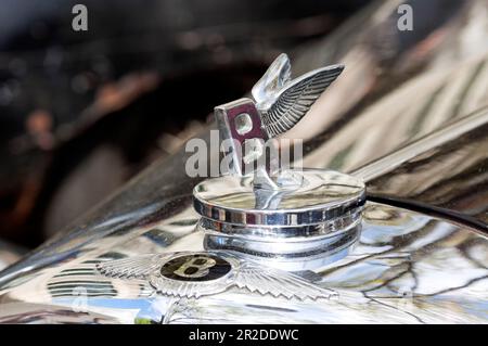 Bentley Winged „B“-Emblem, Haube, Bentley, Classic Days 2023, Berlin, Deutschland Stockfoto