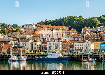 Die Fischereigewohnheit von Scarborough an der Nordseeküste von North Yorkshire, England Stockfoto