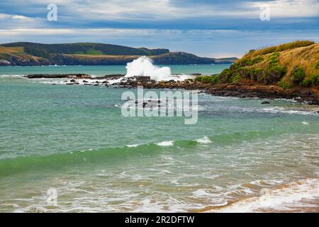 Wellen stürzen auf den Felsen der Porpoise Bay im Southland District von South Island, Neuseeland Stockfoto