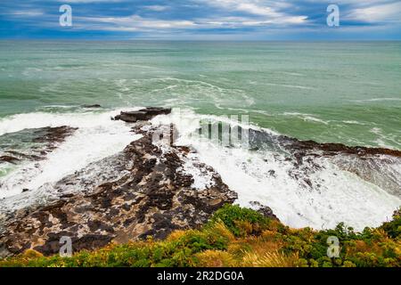 Wellen stürzen auf der felsigen Landzunge zwischen Porpoise Bay und Curio Bay im Southland District von South Island, Neuseeland Stockfoto