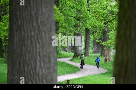 19. Mai 2023, Baden-Württemberg, Stuttgart: Eine Frau und ein Kind fahren Fahrrad im Eichenhain in Stuttgart. Foto: Bernd Weißbrod/dpa Stockfoto