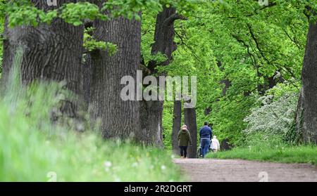 19. Mai 2023, Baden-Württemberg, Stuttgart: Menschen im Eichenhain Stuttgart. Foto: Bernd Weißbrod/dpa Stockfoto