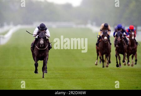 Mabre reitete Olivia Tubb auf dem Weg zum Starlight Apprentice Handicap auf der Newbury Racecourse, Berkshire. Foto: Freitag, 19. Mai 2023. Stockfoto