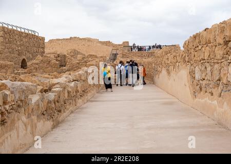 Judäische Wüste, Südbezirk, Israel - 10. April 2023. Touristen im Masada-Nationalpark. Stockfoto