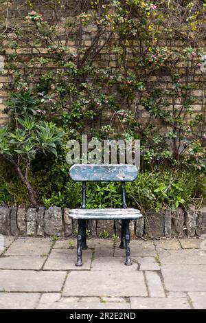 Ein leerer Stuhl in einem Garten mit einer wunderschönen Steinwand dahinter. Stockfoto