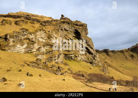 Gelb-grüne Farbe von Gras und Moos, die den gesamten Boden und den Berg bedecken. Wolkiger Himmel im Herbst. Südlich der Atlantikinsel, clos Stockfoto