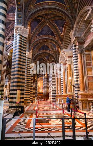 Siena, Italien - 7. April 2022: Innenansicht der Kathedrale von Siena in Siena, die der Himmelfahrt der Maria gewidmet ist. Stockfoto