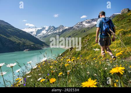 Walker und sommerliche Alpenblumen am Ufer des Moiry Reservoirs mit Bergen im Hintergrund, Grimentz, Schweiz. Stockfoto