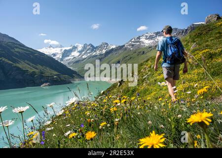 Walker und sommerliche Alpenblumen am Ufer des Moiry Reservoirs mit Bergen im Hintergrund, Grimentz, Schweiz. Stockfoto