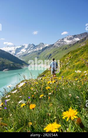 Walker und sommerliche Alpenblumen am Ufer des Moiry Reservoirs mit Bergen im Hintergrund, Grimentz, Schweiz. Stockfoto