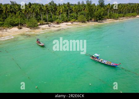 Traditionelle thailändische Langschwanz-Fischerboote vor einem kleinen, von Palmen gesäumten tropischen Strand (Khao Lak, Thailand) Stockfoto