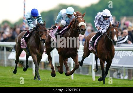 Giavellotto geritten von Andrea Atzeni (Zentrum), die nach Hause kam und am dritten Tag des Dante Festivals 2023 auf der York Racecourse die Boodles Yorkshire Cup Stakes gewann. Foto: Freitag, 19. Mai 2023. Stockfoto