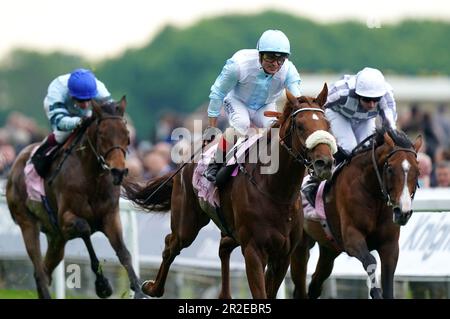 Giavellotto geritten von Andrea Atzeni, die nach Hause kam, um die Einsätze des Boodles Yorkshire Cup am 3. Tag des Dante Festivals 2023 auf der York Racecourse zu gewinnen. Foto: Freitag, 19. Mai 2023. Stockfoto