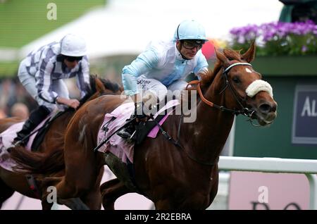 Giavellotto geritten von Andrea Atzeni, die nach Hause kam, um die Einsätze des Boodles Yorkshire Cup am 3. Tag des Dante Festivals 2023 auf der York Racecourse zu gewinnen. Foto: Freitag, 19. Mai 2023. Stockfoto