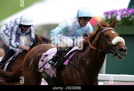 Giavellotto geritten von Andrea Atzeni, die nach Hause kam, um die Einsätze des Boodles Yorkshire Cup am 3. Tag des Dante Festivals 2023 auf der York Racecourse zu gewinnen. Foto: Freitag, 19. Mai 2023. Stockfoto