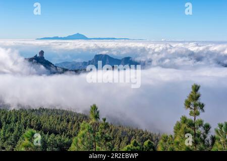 Cloud Rock, Berglandschaft im zentralen Hochland, Grand Canary, Kanarische Inseln, Spanien Stockfoto