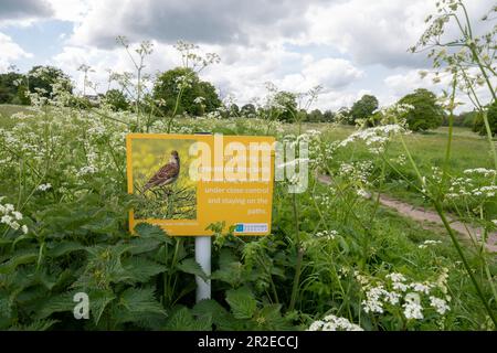 Schild in öffentlichem Grünland - Bitte vermeiden Sie es, Vögel zu stören, indem Sie Hunde unter Kontrolle halten und auf Wegen bleiben, England, Großbritannien Stockfoto