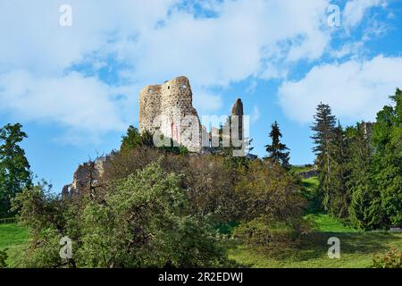 Die Burgruinen von Pfeffingen befinden sich hoch über dem gleichnamigen Dorf und dem Birseck-Tal Stockfoto