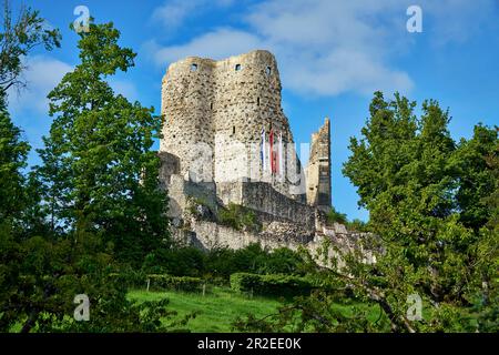 Die Burgruinen von Pfeffingen befinden sich hoch über dem gleichnamigen Dorf und dem Birseck-Tal Stockfoto