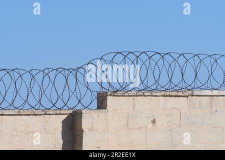Betonblockwand mit Stacheldraht in einem geschützten Bereich. Sicherheit, Haftanstalt, Konzentrationslager, Gefängniseinrichtung, Bestrafung und Freiheit Stockfoto