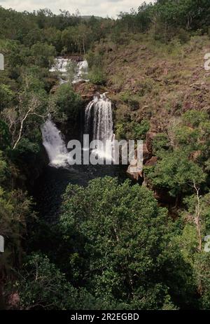 Die Florence Falls (Aboriginal: Karrimurra) sind ein segmentierter Wasserfall auf dem Florence Creek im Litchfield National Park im Norden Stockfoto