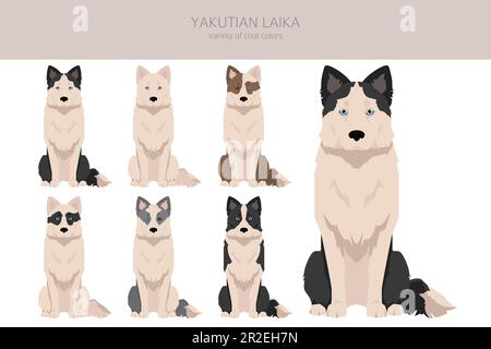 Yakutian Laika Clipart. Verschiedene Posen, Fellfarben eingestellt. Vektorgrafik Stock Vektor