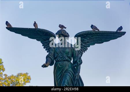 Angel of the Waters auf dem Bethesda-Brunnen im Central Park von New York City wurde in den 1860er Jahren von Emma Stebbins geformt. Stockfoto