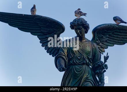 Angel of the Waters auf dem Bethesda-Brunnen im Central Park von New York City wurde in den 1860er Jahren von Emma Stebbins geformt. Stockfoto