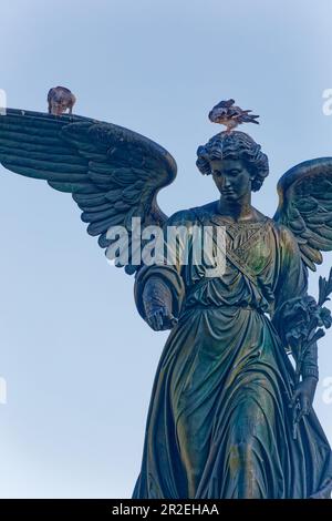 Angel of the Waters auf dem Bethesda-Brunnen im Central Park von New York City wurde in den 1860er Jahren von Emma Stebbins geformt. Stockfoto