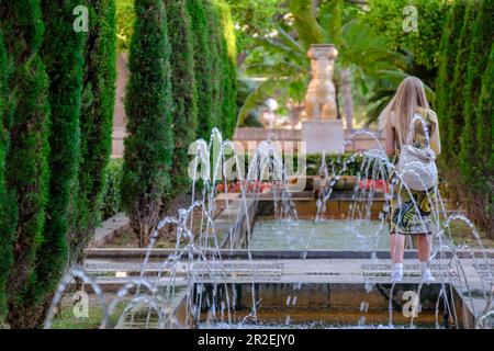 Garten des königlichen Obstgartens, Palma, Mallorca, Balearen, Spanien Stockfoto