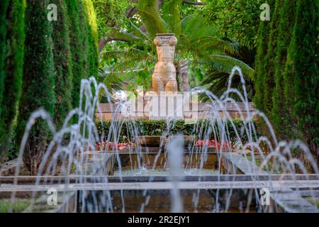 Garten des königlichen Obstgartens, Palma, Mallorca, Balearen, Spanien Stockfoto