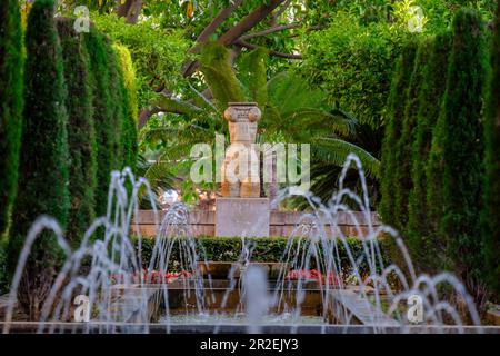 Garten des königlichen Obstgartens, Palma, Mallorca, Balearen, Spanien Stockfoto