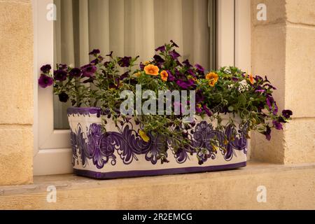 Violette und orangefarbene Gartenblumen in einem rechteckigen Keramiktopf auf einer Fensterbank außerhalb des Gebäudes. Stockfoto