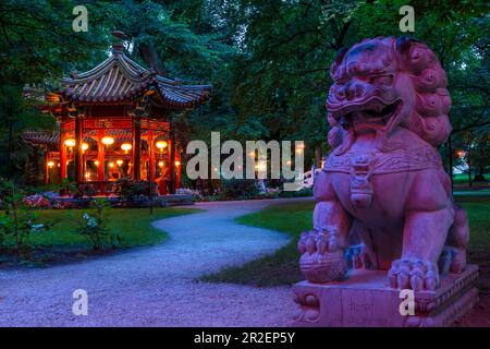 Königlicher Garten in Warschau, genannt Lazienki Krolewskie, chinesischer Garten am Abend, Warschau, Region Mazovia, Polen, Europa Stockfoto