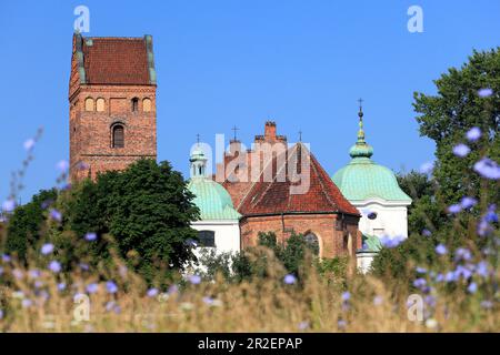 Gotische Kirche des Besuchs der Heiligen Jungfrau Maria, eines der ältesten Gebäude in Warschau, Altstadt, Warschau, Mazovien, Polen, Europa Wa Stockfoto