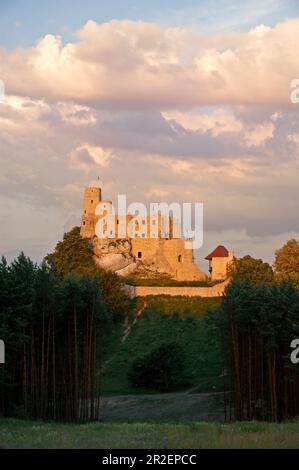 Die Burg Bobolice ist eine königliche Burg aus dem 14. Jahrhundert im Dorf Bobolice, Polen. Der Komplex befindet sich in einer halbgebirgigen Hochlandregion ca. Stockfoto
