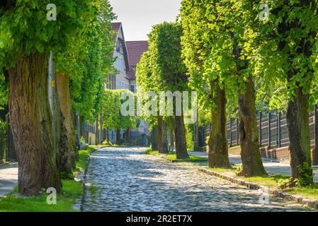 Danzig Oliwa, Vorkriegsvillenviertel, Podhalanska Straße. Danzig Oliwa, Region Pommern, woiwodschaft Pommern, Polen, Europa Stockfoto