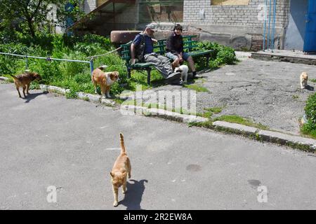 Huliaipole, Ukraine. 18. Mai 2023. Einheimische sehen mit streunenden Hunden und Katzen im Hinterhof des Appartementgebäudes. Kriegskrise in Huliaipole, Ukraine (Foto: Andriy Andriyenko/SOPA Images/Sipa USA) Kredit: SIPA USA/Alamy Live News Stockfoto