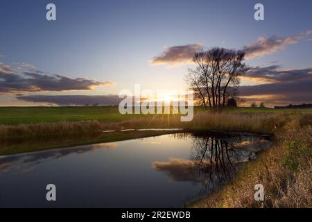 Kleiner Teich in Oderbruch, Brandenburg, Deutschland Stockfoto