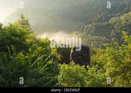 Aussichtspunkt Elisensitz bei Kastel-Staadt, Saar, Rheinland-Pfalz, Deutschland Stockfoto