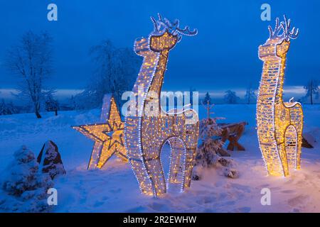 Beleuchtete Skulpturen vor dem Berghotel, Winterlandschaft auf Kahler Asten bei Winterberg, Sauerland, Nordrhein-Westfalen, Deutschland Stockfoto