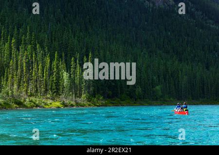 Kanufahrer auf dem Yukon River vor einem Pinienwald. Yukon River, Yukon Territory, Kanada Stockfoto